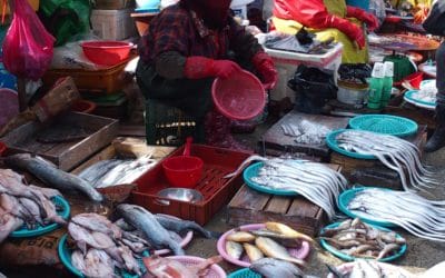 Marchés en Corée du sud